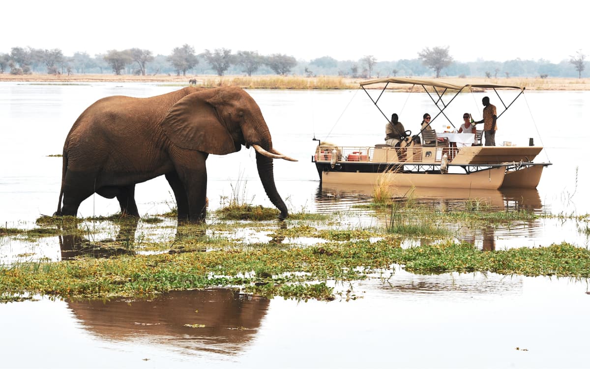 Floating lunch on the Zambezi River
