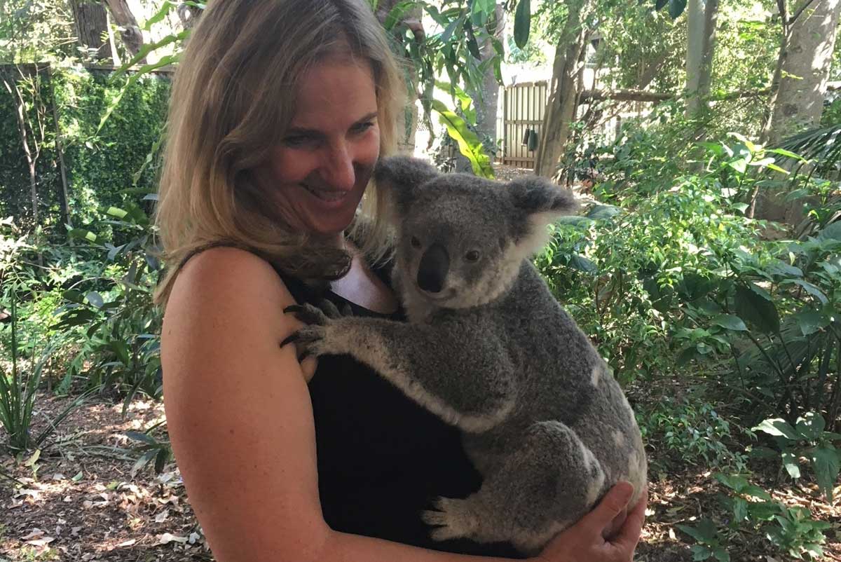 australia brisbane koala sanctuary geoex
