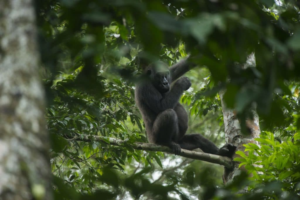 edit DanitaDelimont RM AF12 POX0018 Comp 1024x685