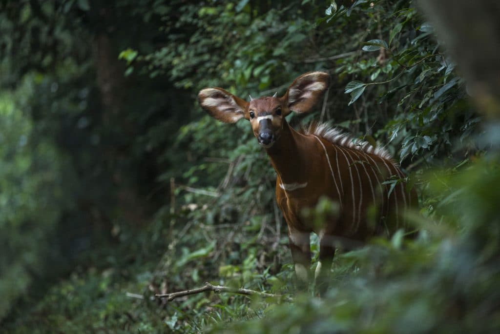 edit DanitaDelimont RM AF12 POX0143 Comp 1024x685