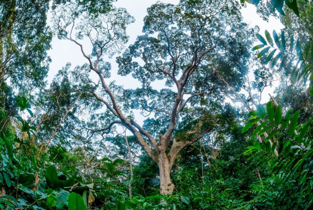 edit DanitaDelimont RM AF12 RHA0015 Comp 1024x685