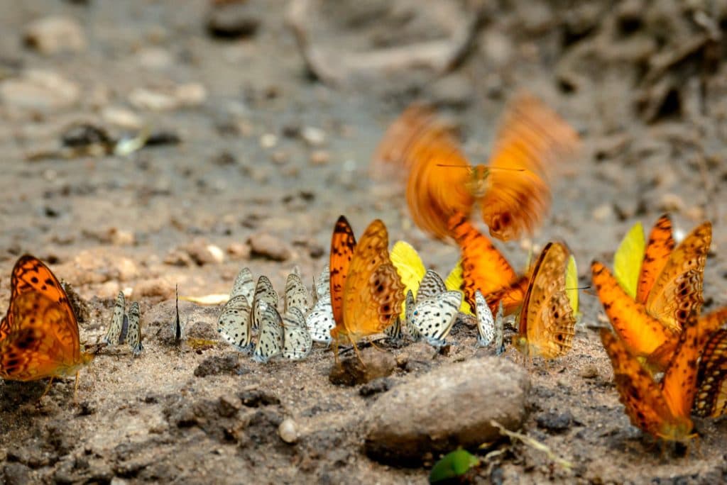 edit DanitaDelimont RM AF12 RHA0027 Comp 1024x684