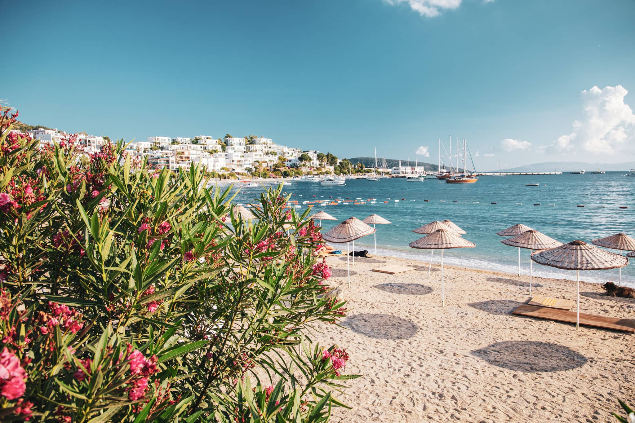 Istanbul & the Aegean Coast gallery gallery3 bodrum turkiye GettyImages 1197338271 yagmradam