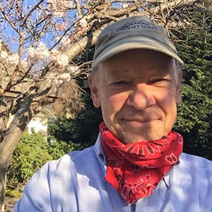 geoex don george cherry blossoms piedmont