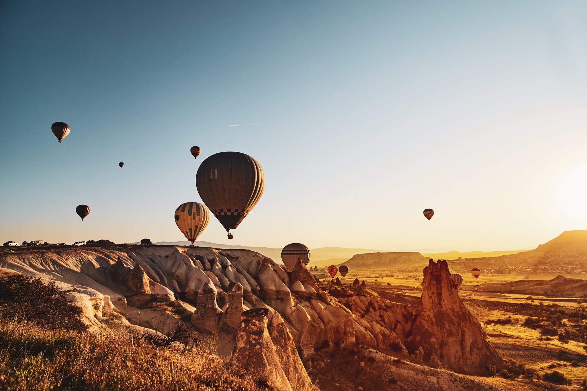 A Tribute to Türkiye hero image