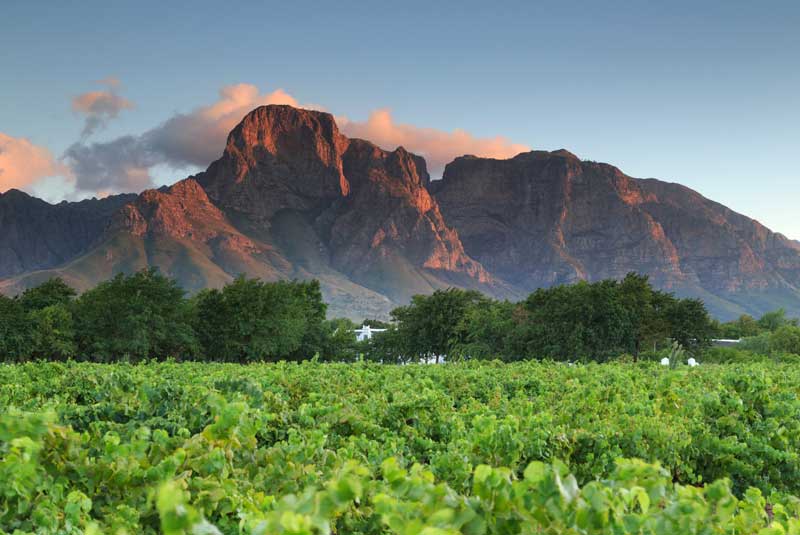 holiday travel south africa stellenbosch vineyards geoex