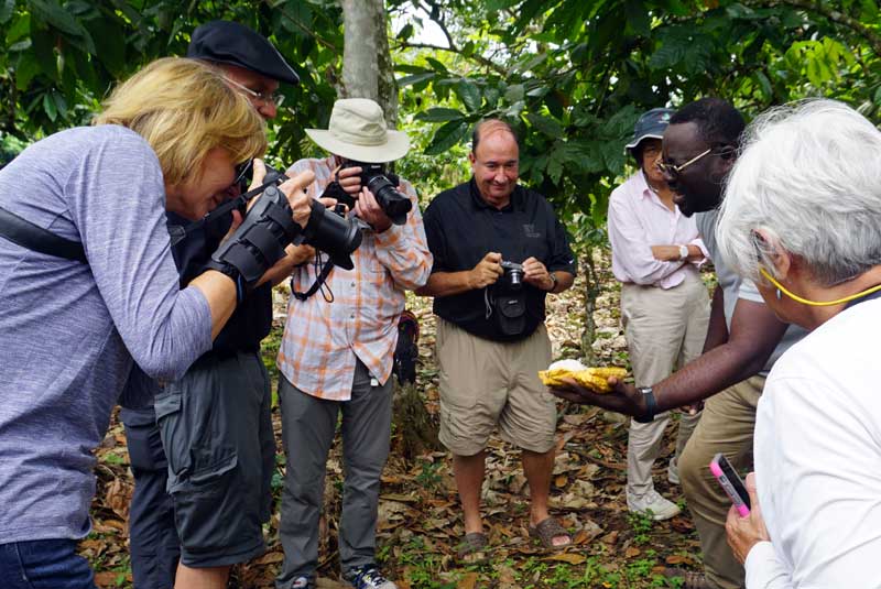 jesse knight unexpected west africa noah cacao