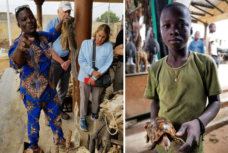 jesse knight unexpected west africa voodoo markets