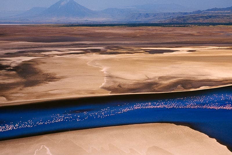 kenya lake natron aerial flamingos in flight
