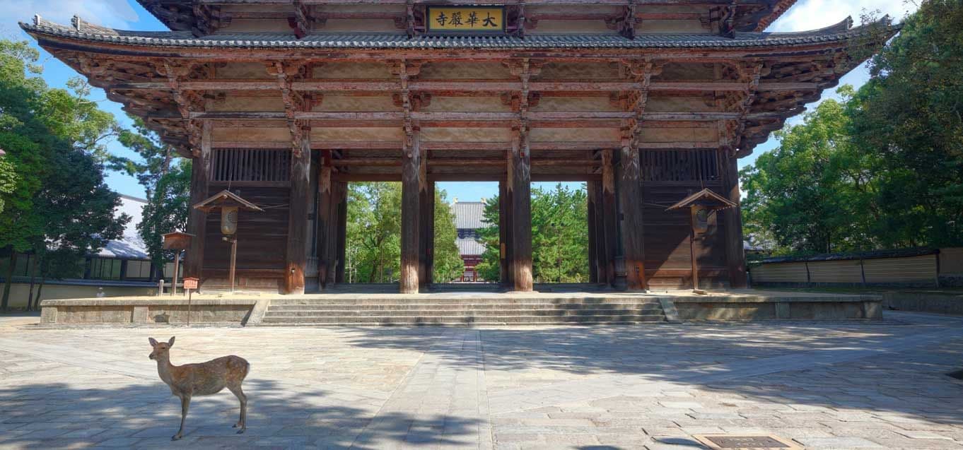 main japan nara todai ji temple gate deer