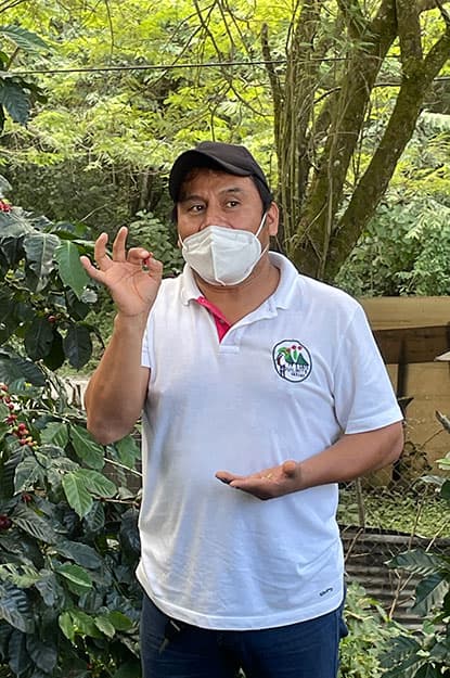 mexico chiapas coffee master demonstration