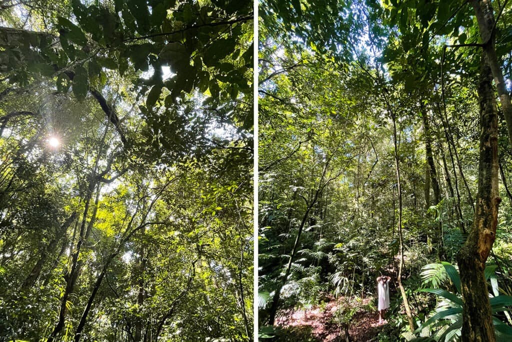 mexico chiapas metzabok lacandon rain forest boy 1024x684