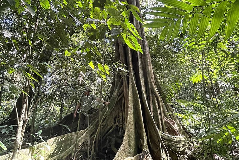 mexico city metzabok don george 800x535 1