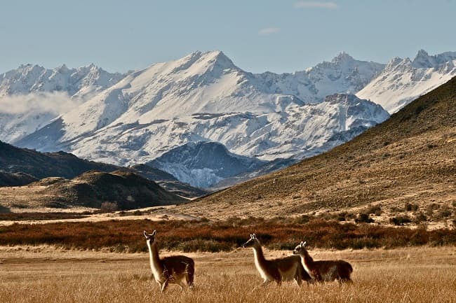 patagonia national park geoex travel