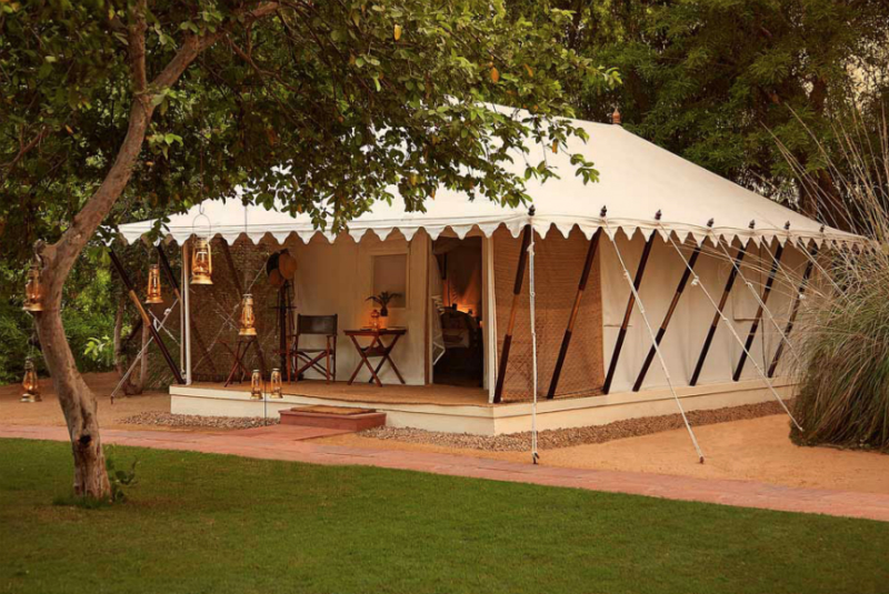 Stay at Sher Bagh, a luxurious tented camp situated close to the entrance of Ranthambore National Park, with GeoEx.