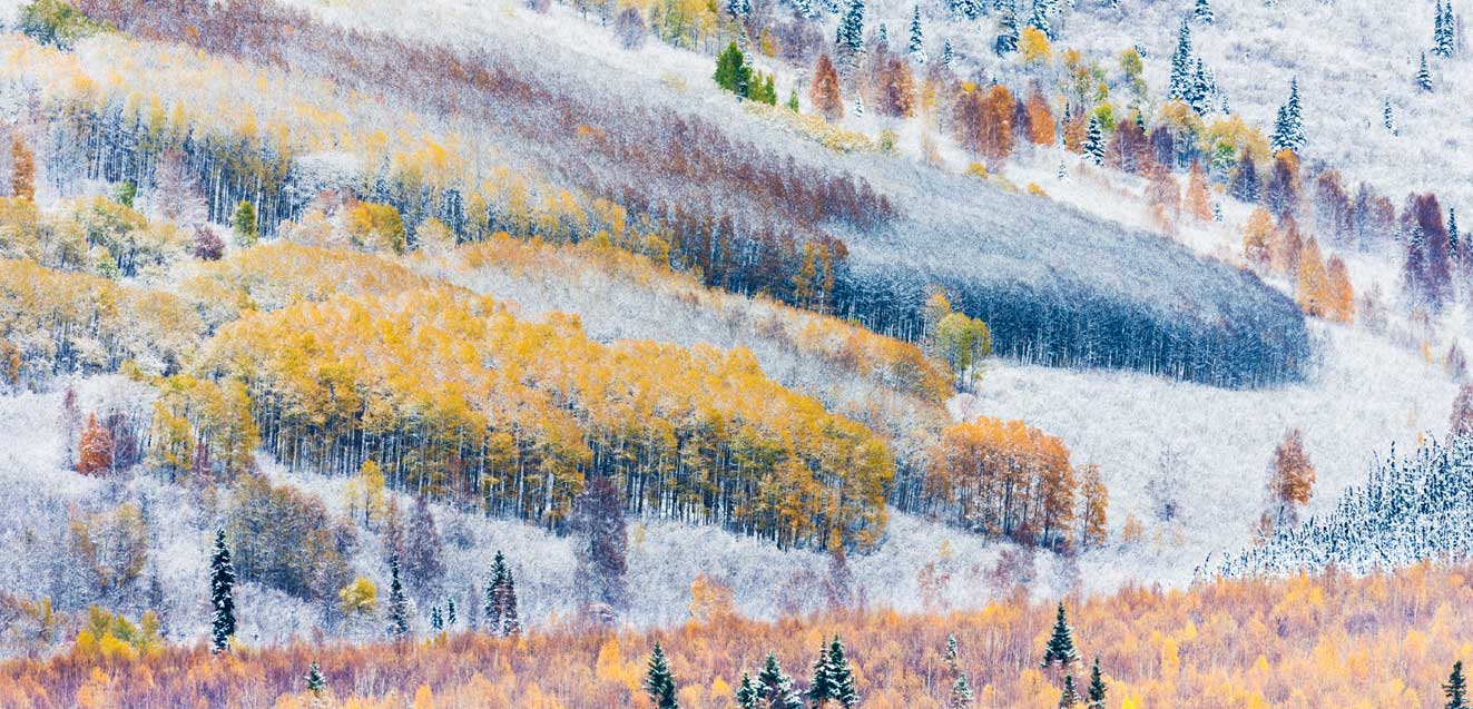 Early snowfall in the boreal forest in the hills surrounding, Fairbanks, Alaska with GeoEx