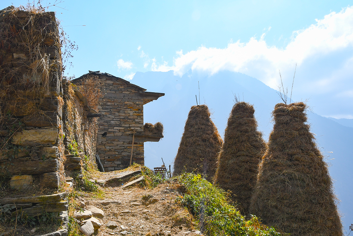 Hay stacks outside a village home near Ramni in India