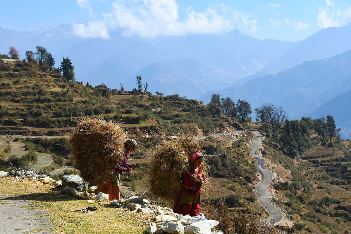 Local villages carrying grass in Ramni village in India