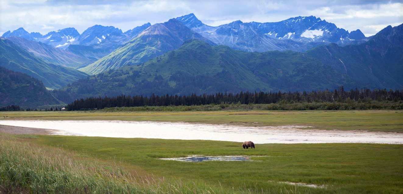 Bear-watching adventure in Alaska with GeoEx