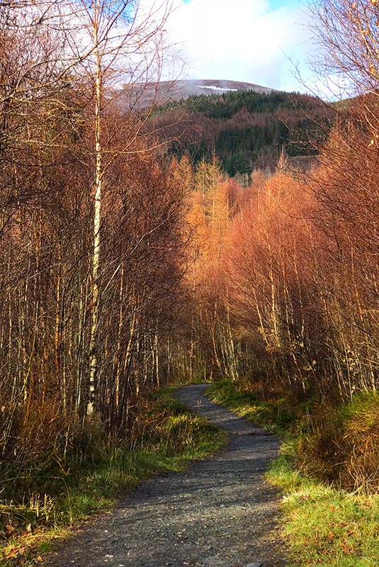 Hiking path in the Scottish Highlands, Scotland