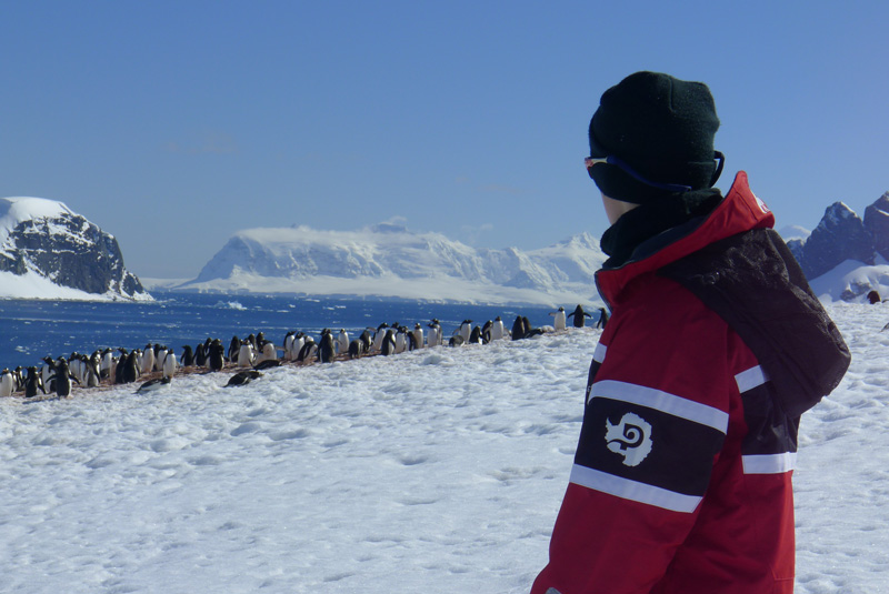 Teenager looks over shoulder to penguin colony in Antarctica