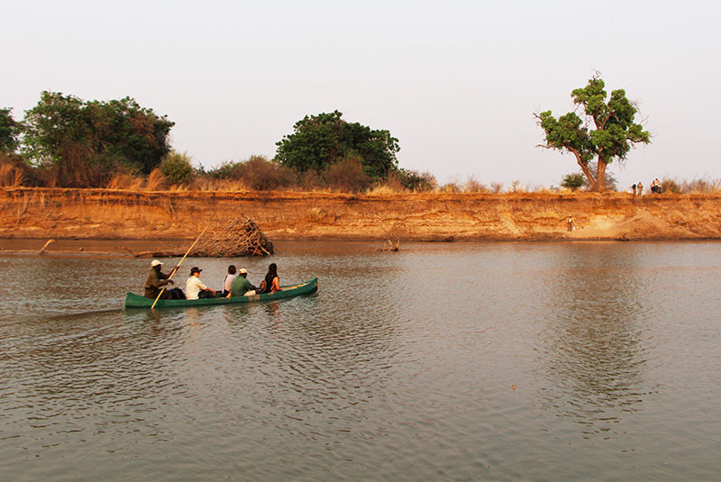 Canoeing to walking safari in the Lower Zambezi, Zambia.