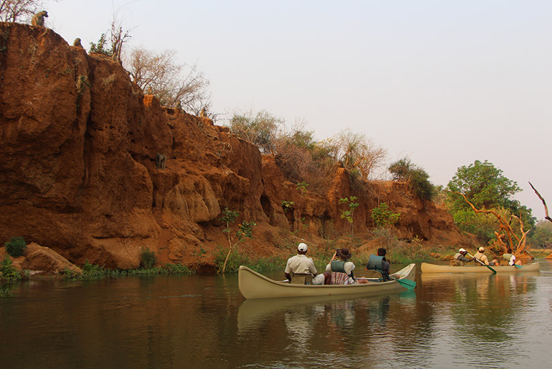 A canoeing safari in Zambia.