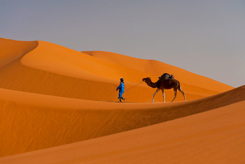 Berber walking across sand dunes in the Erg Chebbi area of the Sahara Desert, Merzouga, Morocco.