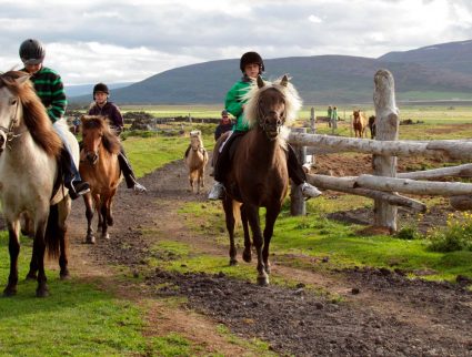 Children riding horses in northern Iceland