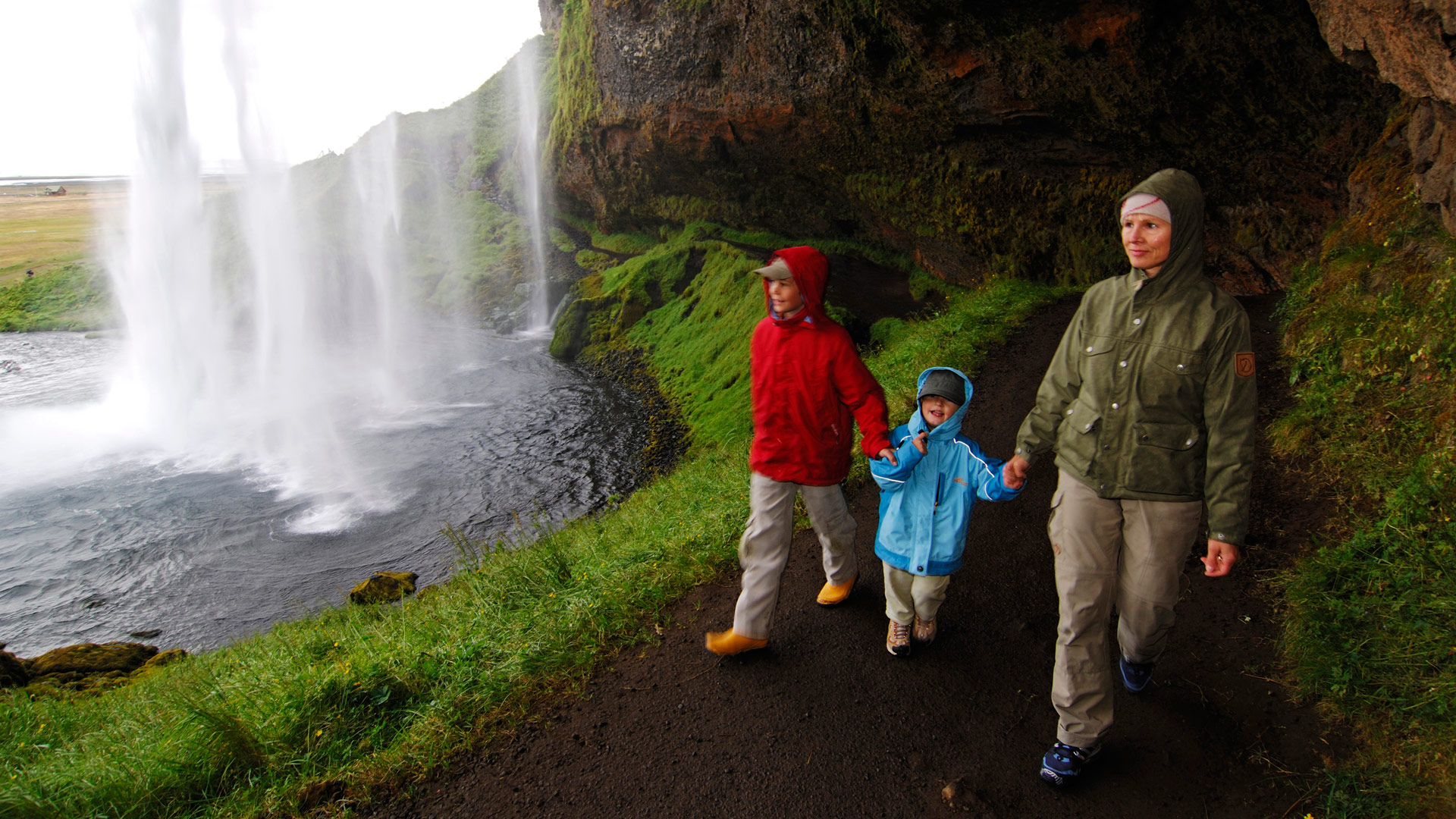 tours of iceland for families
