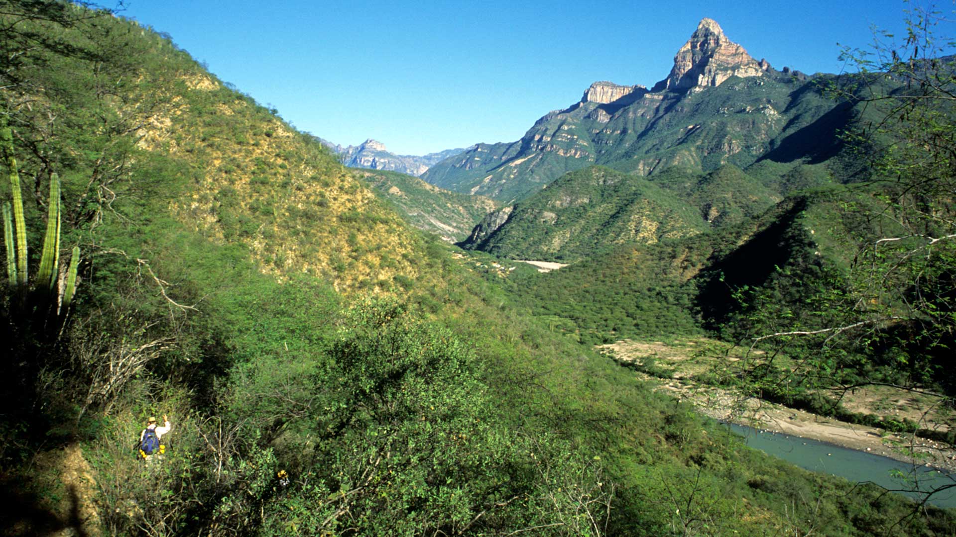 Hiking in the Copper Canyon, Mexico.