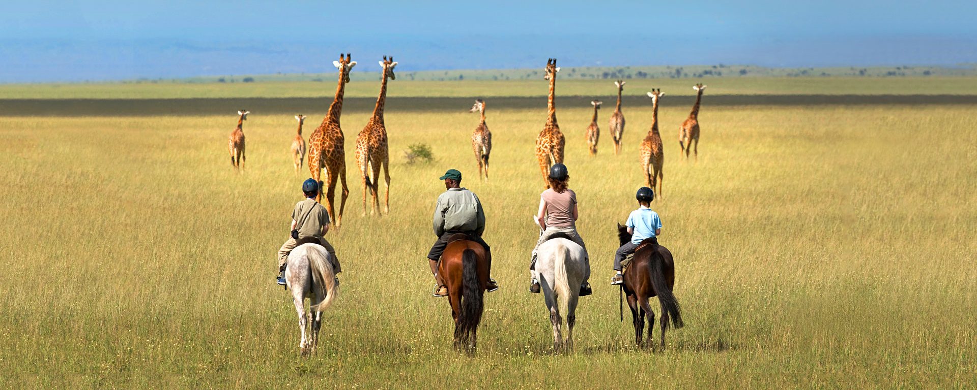 A family rides horses towards giraffes in the Chyulu Hills, Kenya