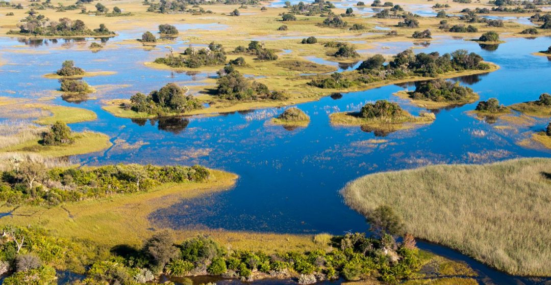 Aerial view of the Okavango Delta, Botswana