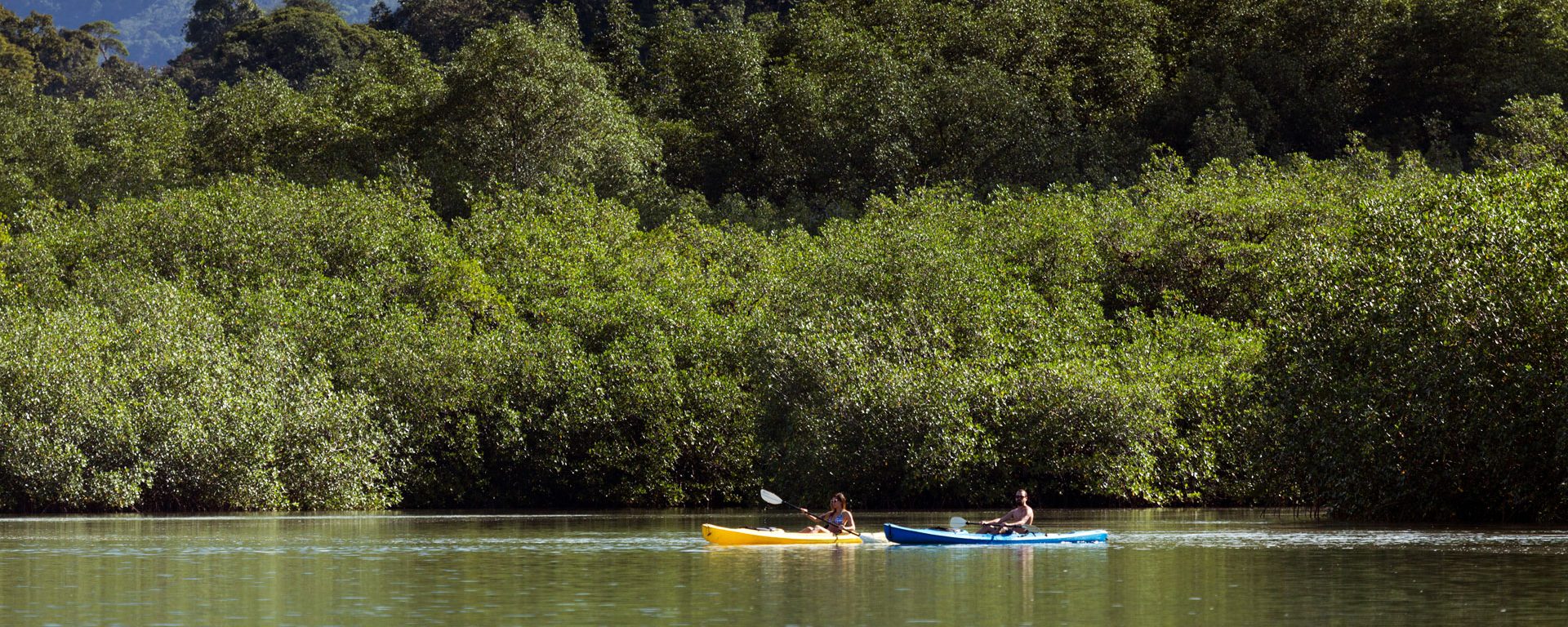 Kayakers on a river in Piedras Blancas National Park, Puntarenas, Costa Rica