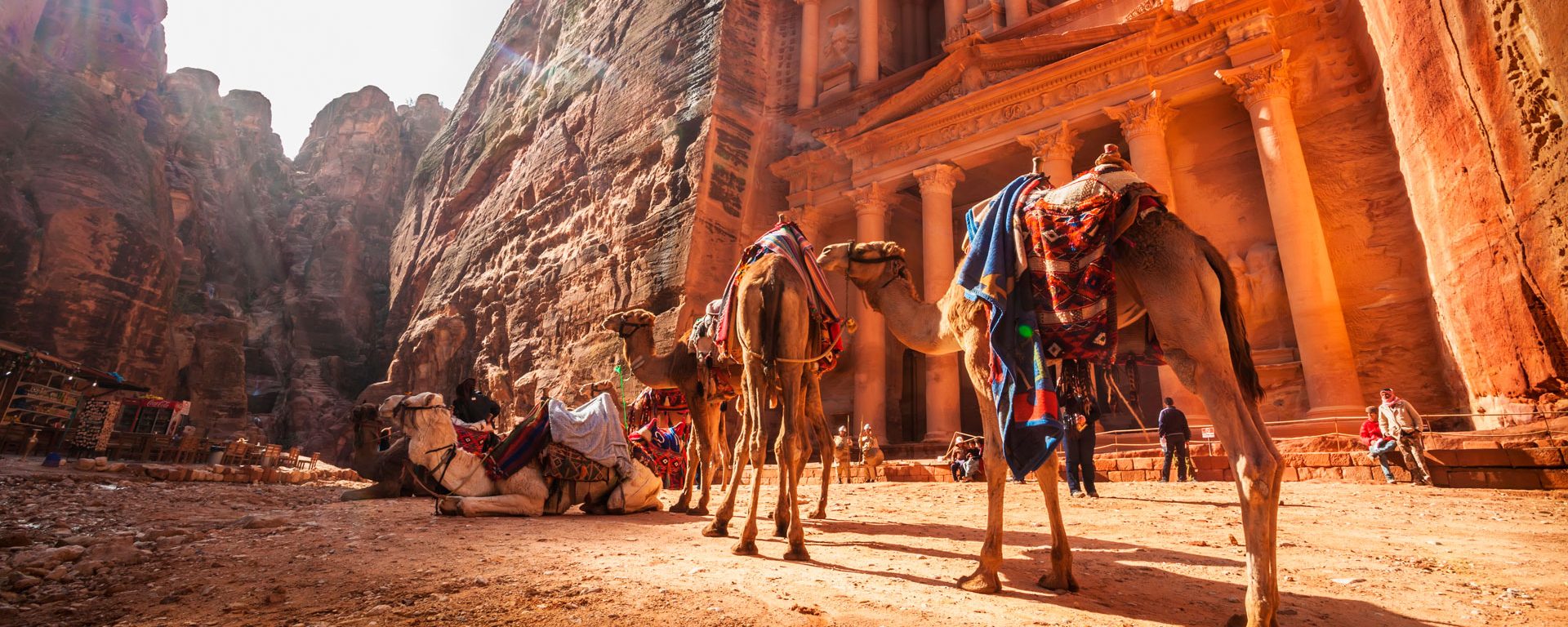 Camels in front of El Khazneh, Petra, Jordan