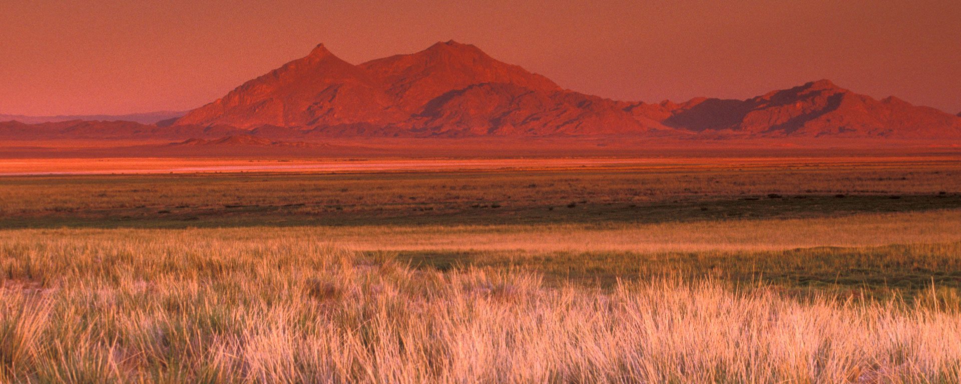 Mountain landscape and grass in the Gobi Desert, Mongolia