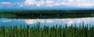 USA, Alaska, Willow lake and Mt Wrangell in Wrangell, St. Elias National Park