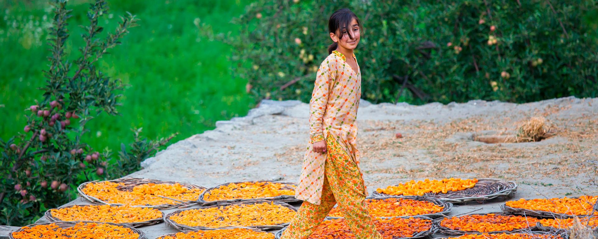 Smiling girl on rooftop, drying apricot fruit, Hunza, northern Pakistan