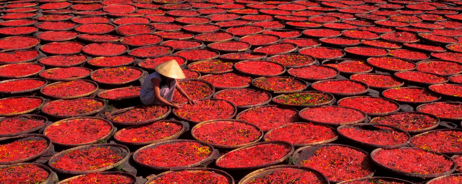 Candy drying in baskets under the sun, Vietnam