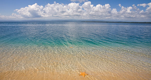 Star Beach in Bocas del Toro, Panama