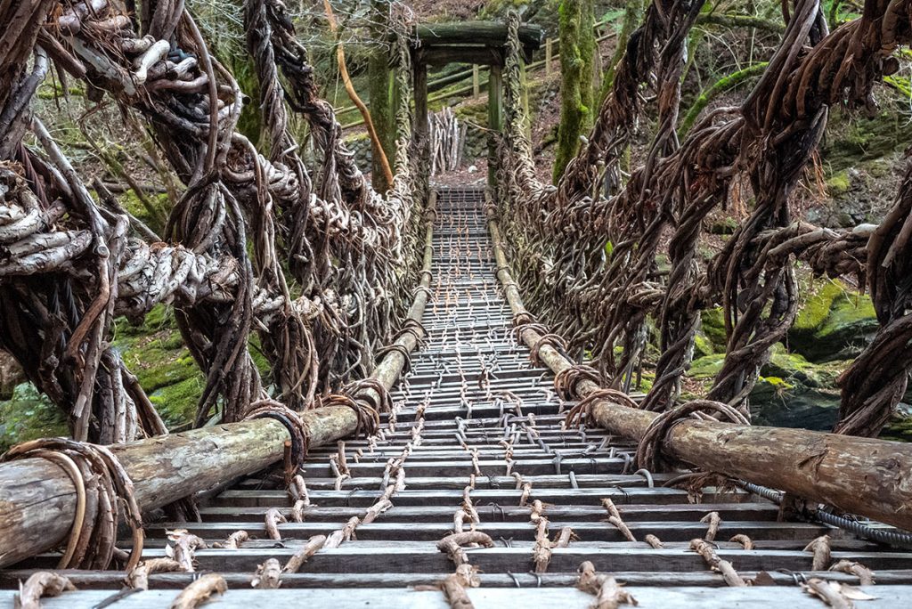 Vine bridge in Japan