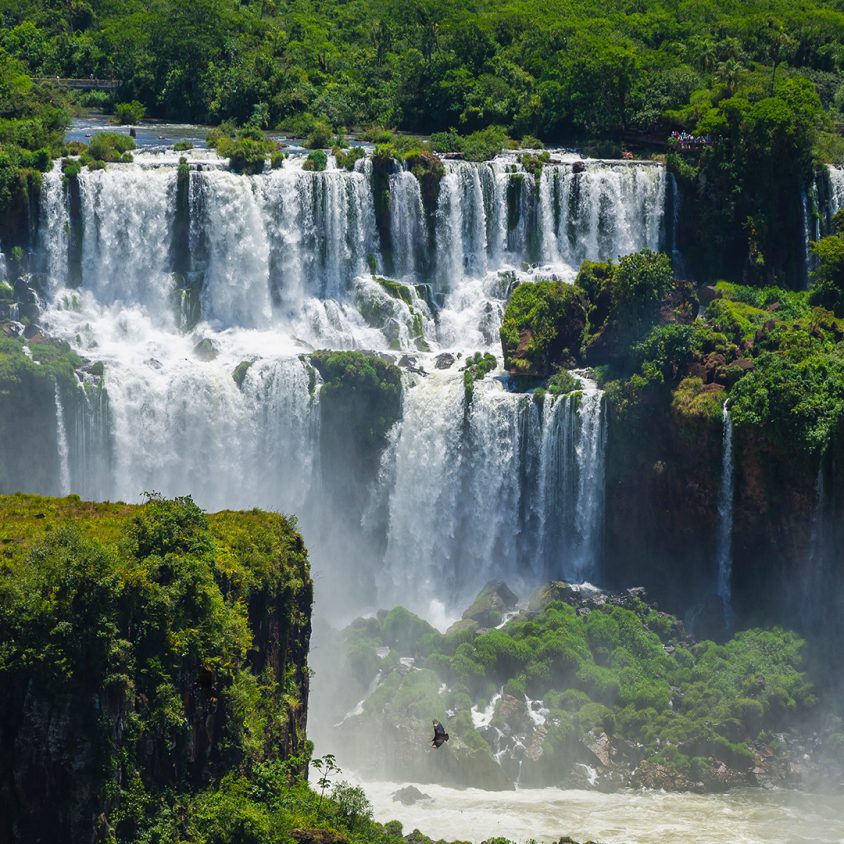 Water cascades down through rain forest vegetation at Iguaza Falls, Argentina