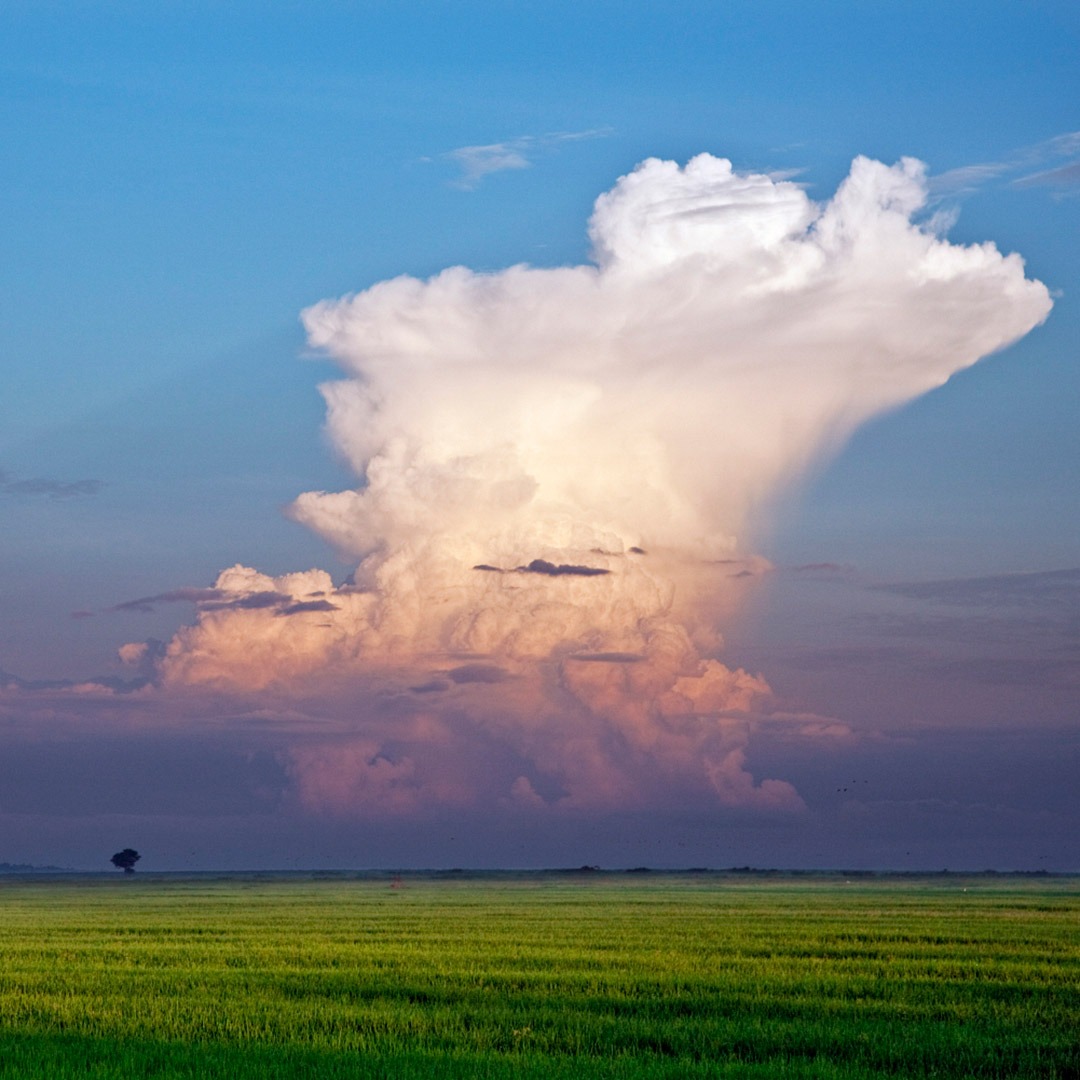A large cumulonimbus cloud forms over Lake Victoria, Kenya