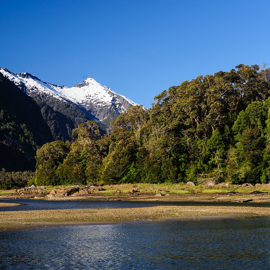 Snowcapped peaks and Valdivian rain forest in Pumalin Park, Chile's Route of Parks