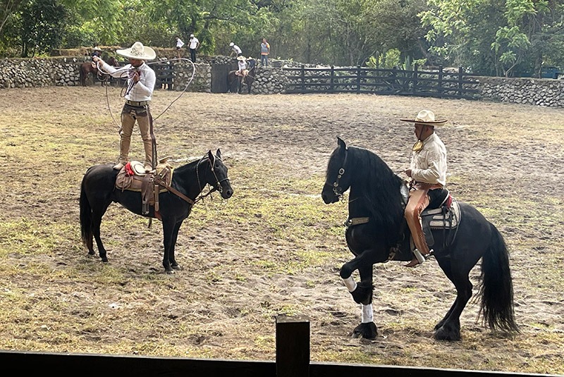 Cowboys display their horse riding prowess at a charreada rodeo in Comala, Mexico