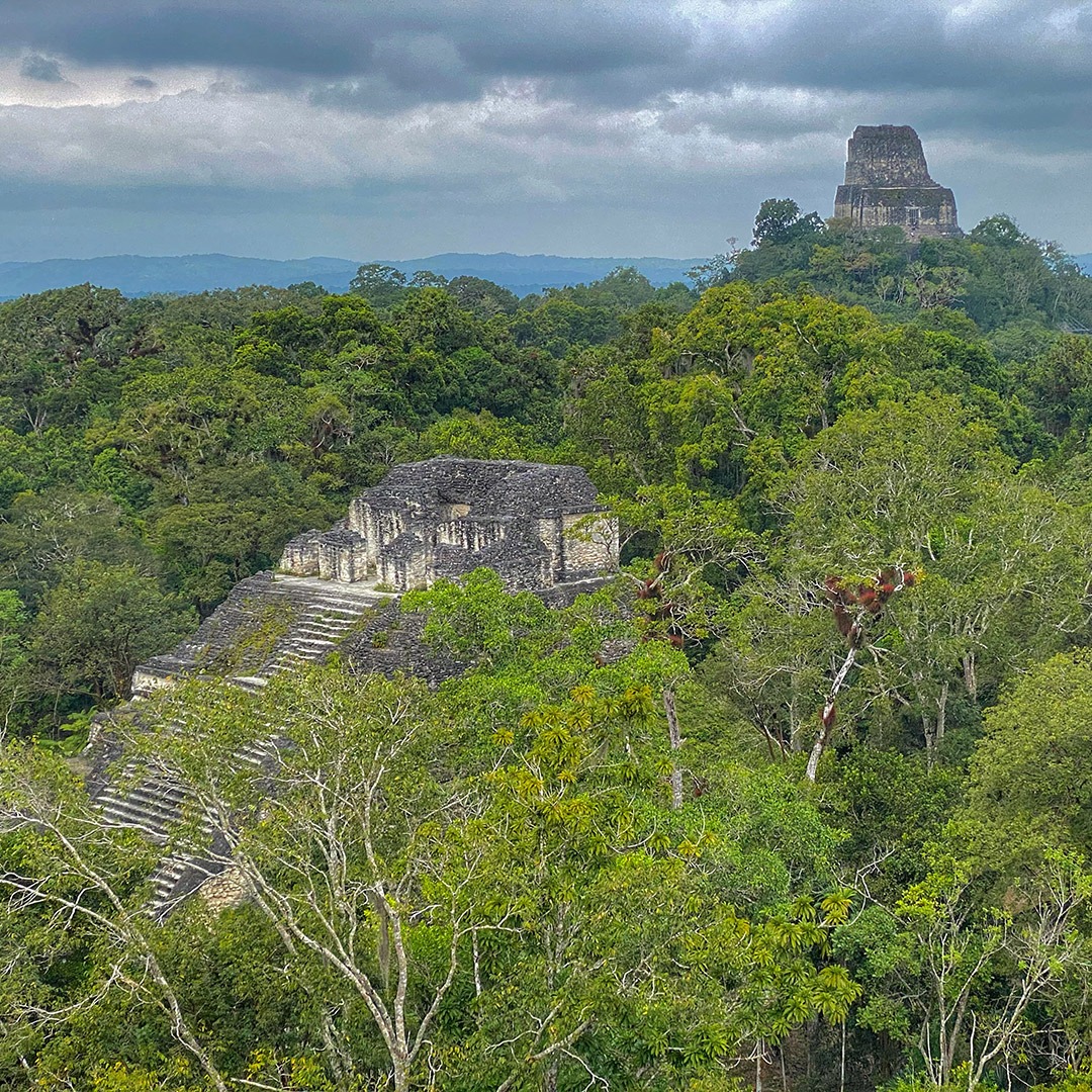 Temple 4 rising above the jungle canopy in Tikal, Guatemala