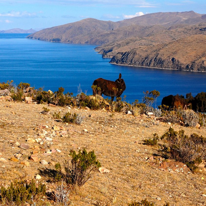 Woman on Isla del Sol in Lake Titicaca, Bolivia