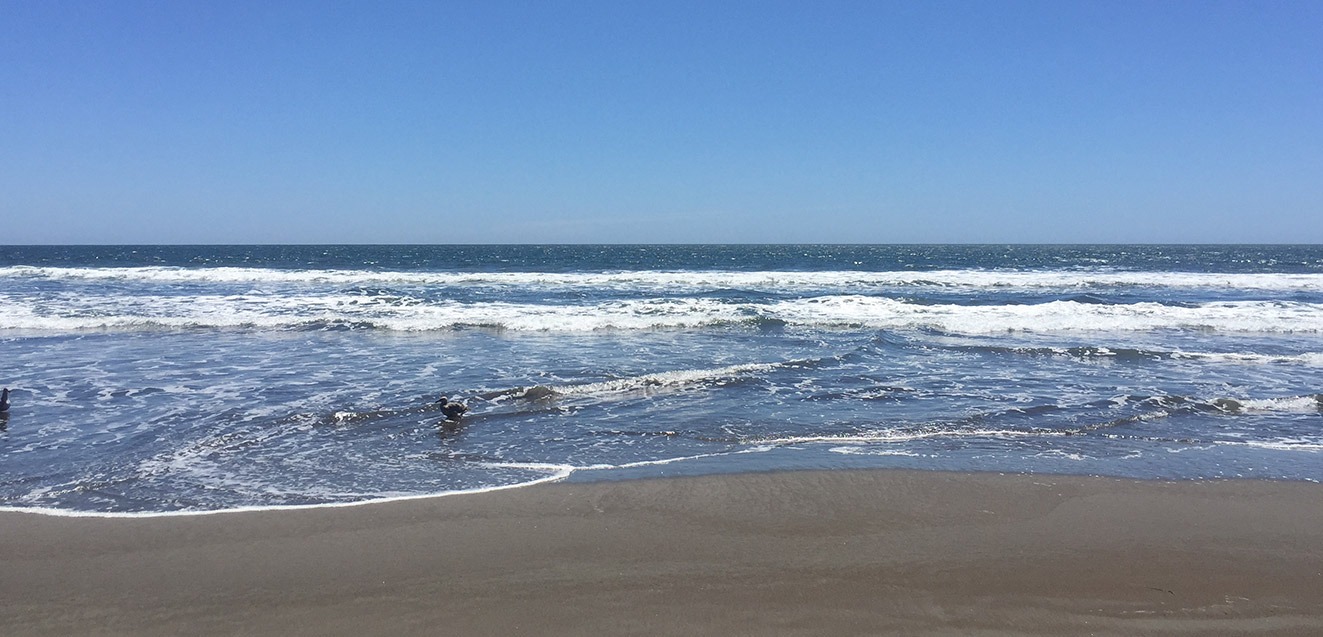 Waves on a clear day at Stinson Beach, California