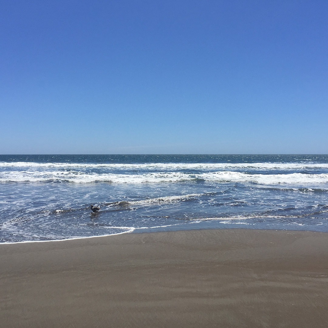 Waves on a clear day at Stinson Beach, California