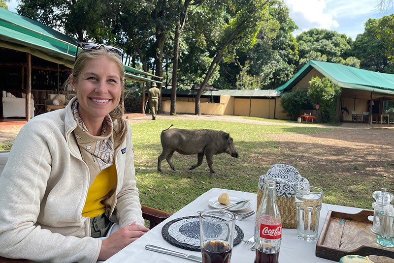 A warthog walks through Little Governors' Camp during breakfast, Masai Mara, Kenya